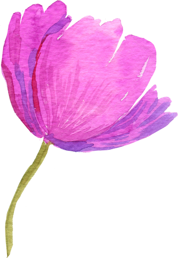 Pink Poppy Flower Watercolor